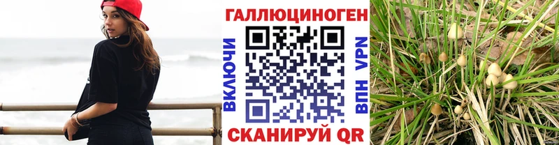 Псилоцибиновые грибы Magic Shrooms  Лабытнанги 